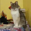 Отзыв от Алена Лаврентьева